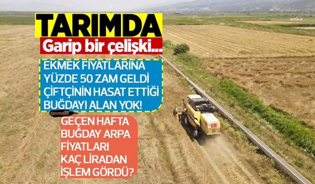 Geçtiğimiz hafta buğday arpa fiyatları serbest piyasada kaç liradan işlem gördü?