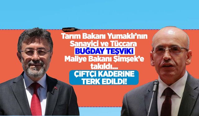 Tarım Bakanı Yumaklı'nın sanayici ve tüccara buğday teşviki Maliye Bakanı Şimşek'e takıldı! Çiftçi kaderine terk edildi!