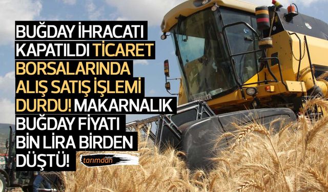 Buğday ihracatı kapatıldı borsalarda alış-satış işlemi durdu! Makarnalık buğday fiyatı bin lira birden düştü!