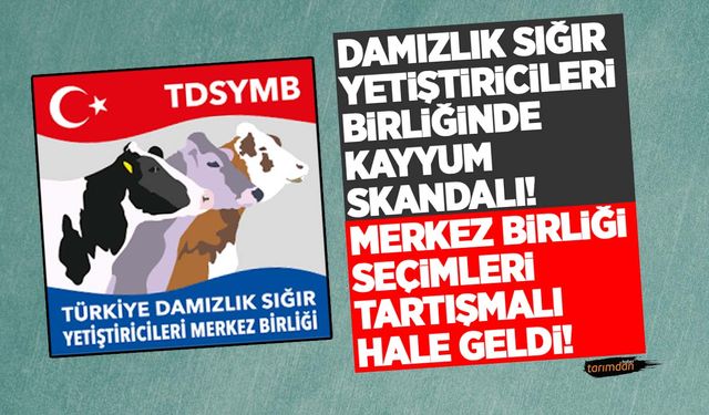 Damızlık Sığır Yetiştiricileri Birliğinde kayyum skandalı! Merkez Birliği seçimleri tartışmalı hale geldi!