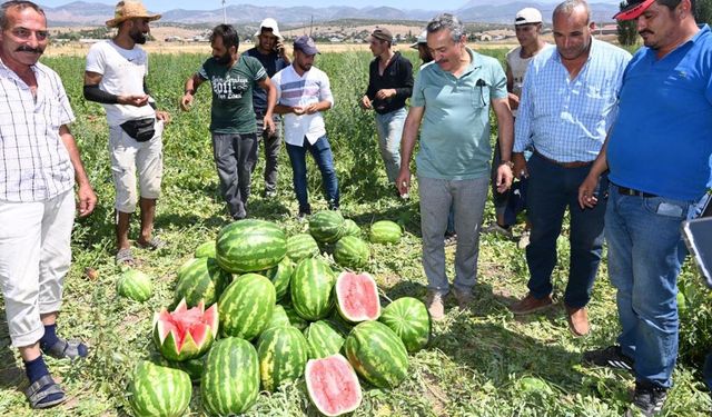 Seydişehir'den Hollanda, Danimarka'ya karpuz ihracatı!