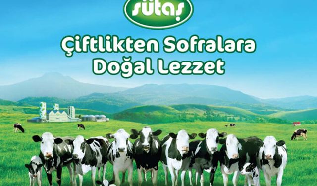 Sütaş'tan ihracat rekoru! Şirket 2022 yılında süt ve süt ürünlerinde bugüne kadarki en yüksek ihracatını gerçekleştirdi!