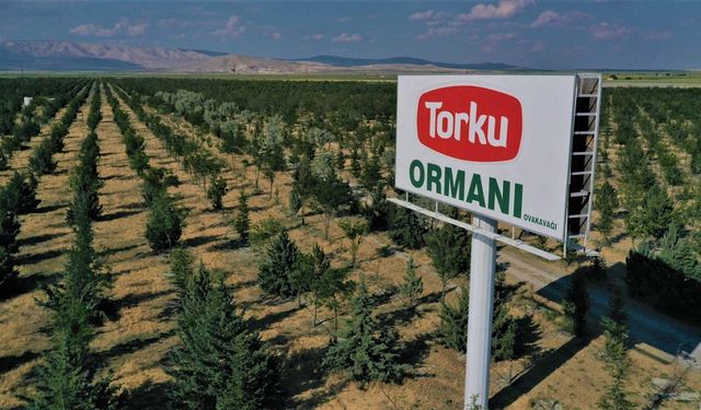 Konya Şeker'den TORKU ormanları ile ilgili açıklama: Finansal zorluklardan dolayı tasarrufa gitmek zorunda kaldık!