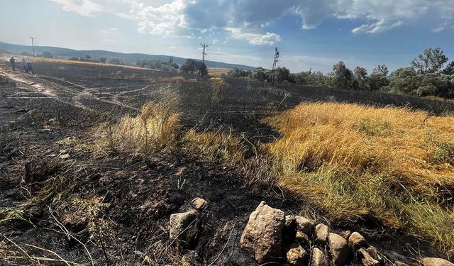 Çiftçinin bir yıllık emeği küle döndü! Bolu’da 24 dönümlük buğday tarlası yandı!