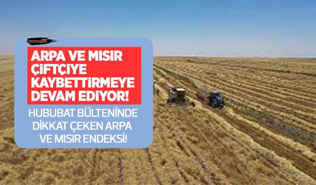 Arpa ve mısır çiftçiye kaybettirmeye devam ediyor! Arpa 6,4, mısır 5,6 ekside!