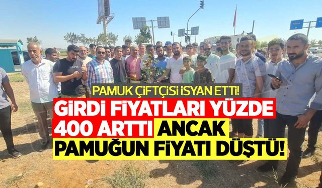 Pamuk çiftçisi isyan etti: Girdi fiyatları yüzde 400 arttı ancak pamuğun fiyatı düştü!