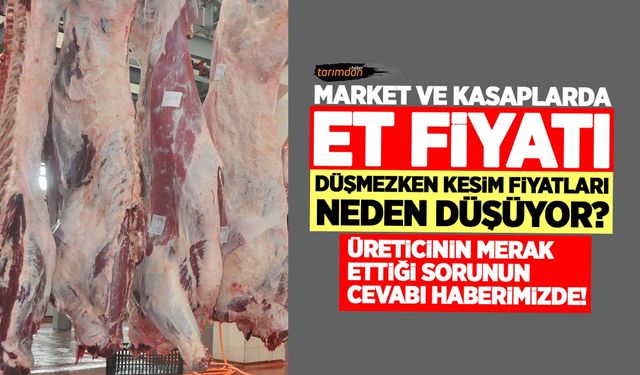 Market ve kasaplarda et fiyatı düşmezken kesim fiyatının düşmesinin arkasından bakın hangi ülkeden yapılan ithalat çıktı