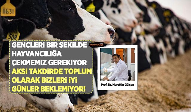 Nurettin Gülşen: Gençleri bir şekilde hayvancılığa çekmemiz gerekiyor aksi takdirde bizleri iyi günler beklemiyor!