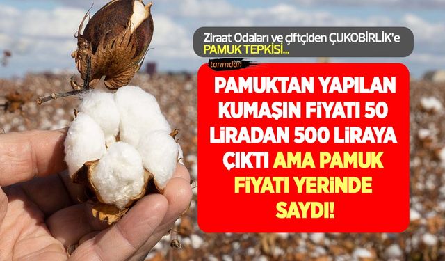 Pamuktan yapılan kumaşın metresi 50 liradan 500 liraya çıktı ama pamuk fiyatı yerinde saydı!