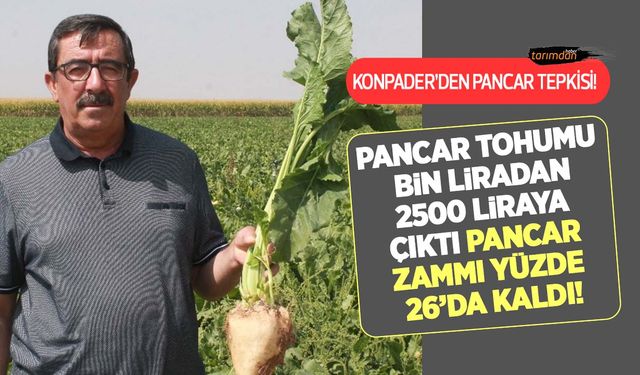 KONPADER'den pancar tepkisi: Pancar tohumu bin liradan 2 bin 500 liraya çıktı pancar zammı yüzde 26'da kaldı!