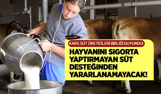 Çiğ süt desteğinde önemli değişiklik! Hayvanını sigorta yaptırmayan destekten yararlanamayacak!