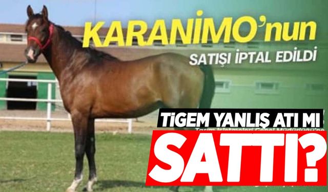 TİGEM yanlış atı mı sattı? 3 milyon liralık KARANİMO’nun satışı iptal oldu! 