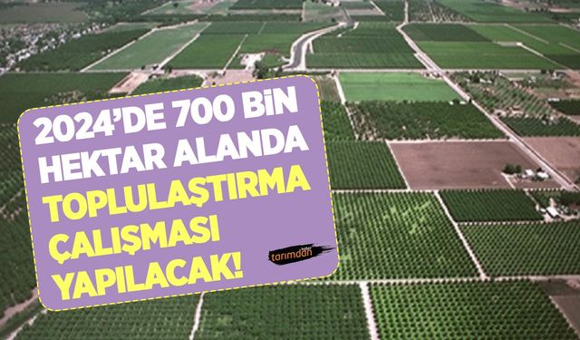 2024 yılında 700 bin hektar tarım arazisinde toplulaştırma çalışması başlatılacak!