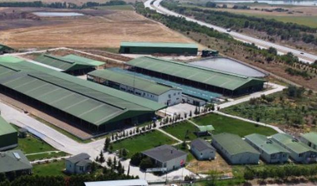 Kayyum atanan FETÖ'nün dev hayvan çiftliği 224 milyon liraya Ata-Sancak Holding'e satıldı! 