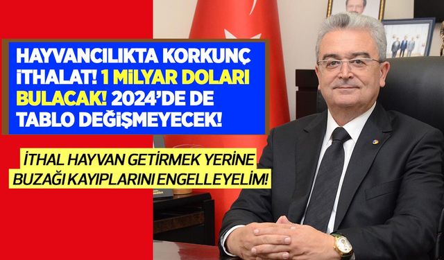 Hayvancılıkta korkunç ithalat! 1 milyar doları bulacak! 2024'de de tablo değişmeyecek!