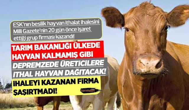 Tarım Bakanlığı depremzede üreticilere ithal hayvan dağıtacak! İhaleyi kazanan firma şaşırtmadı!