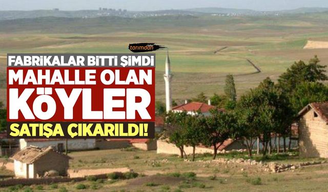 Mahalle olan köylerde büyük tehlike! Sessiz sedasız TOKİ tarafından satışa çıkarıldı! 