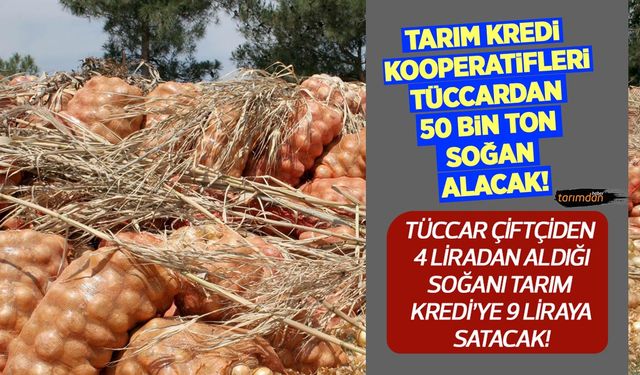 Tarım Kredi Kooperatifleri tüccardan 9 liradan 50 bin ton soğan alacak!