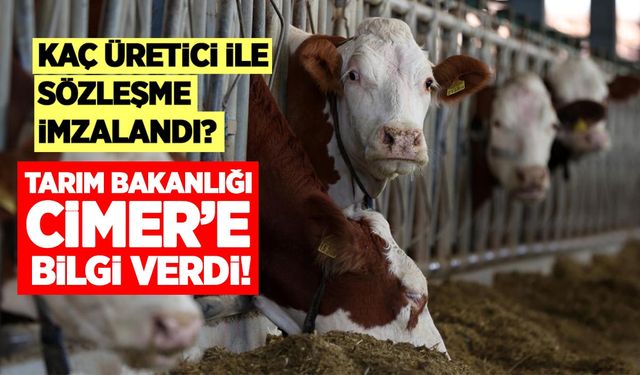 Tarım Bakanlığı sözleşmeli hayvancılık projesi ile ilgili CİMER'e bilgi verdi! Kaç üretici ile sözleşme imzalandı?