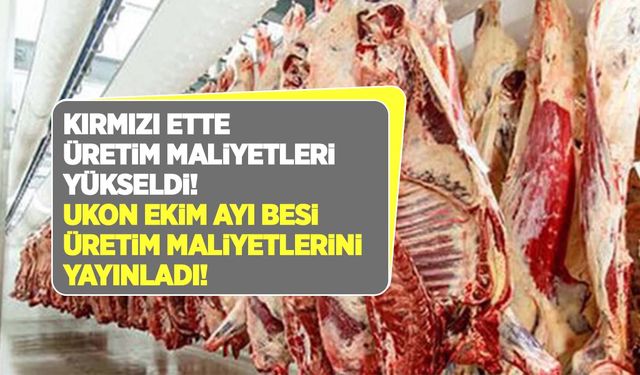 Kırmızı et fiyatlarını yakından ilgilendiren besi üretim maliyetleri belli oldu! İthal hayvanda maliyetler 4 lira arttı!