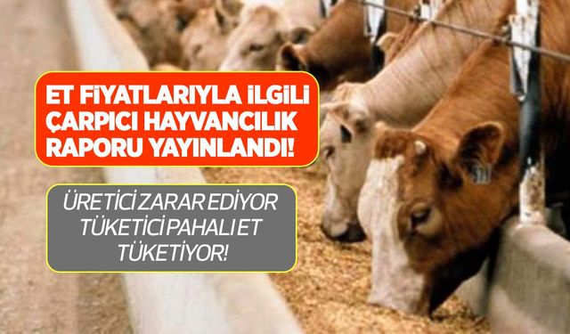 Et fiyatları neden artıyor? 2023 hayvancılık sektör raporu yayınlandı! Üretici zarar ediyor tüketici pahalı et tüketiyor