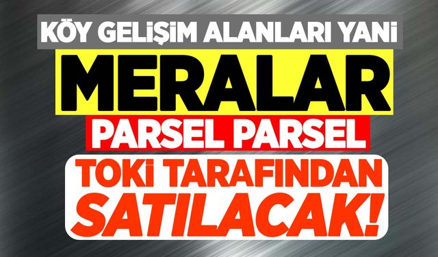 Köyler nasıl satılıyor? Tarımda büyük tehlike! Köy gelişim alanları yani meralar parsel parsel TOKİ tarafından satılacak