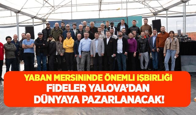 Yaban mersini yetiştiriciliğinde Alova Farm ABD'li firma ile iş birliğine gitti! Fideler Yalova'dan dünyaya pazarlanacak