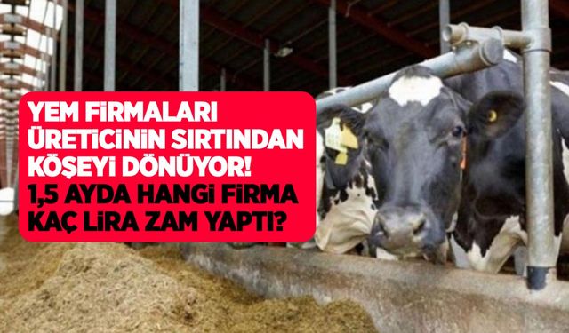 Yem fiyatları yerinde durmuyor! Yem firmaları köşeyi dönerken et ve sütte maliyetler yükseliyor!