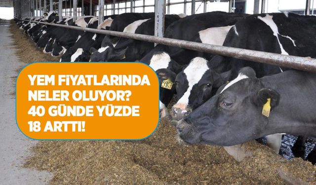 Yem fiyatlarına 40 günde 5 kez zam geldi!