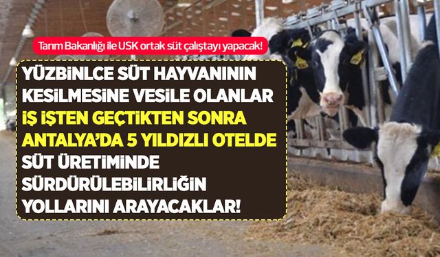 5 yıldız otelde geceliği 120 Euro’dan süt çalıştayı düzenlenecek!