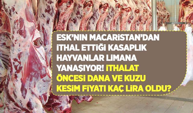 Dana ve kuzu kesim fiyatı kesimlik hayvan ithalatı öncesinde kaç lira oldu?