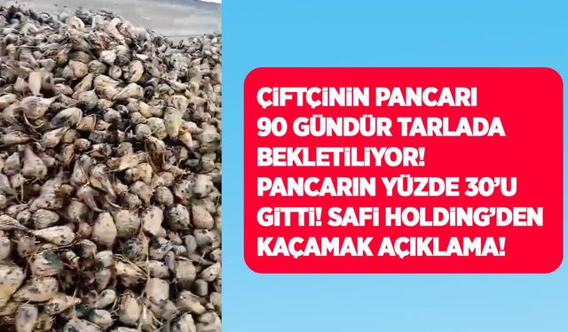 Safi Holding’e çiftçiden pancar tepkisi! Pancarlar 90 gündür tarlada bekletiliyor!