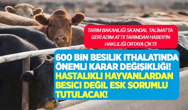 600 bin besilik sığır ithalatında önemli karar değişikliği! Hastalıklı hayvan ithalatından ESK sorumlu tutulacak!