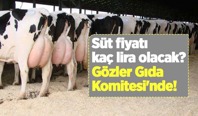 Süt fiyatı kaç lira olacak? Gözler Gıda Komitesi'nde...