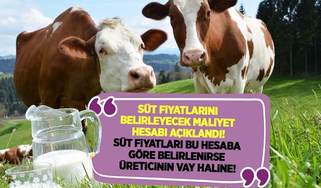 Ulusal Süt Konseyi Aralık ayı süt maliyetini açıkladı! Süt fiyatı kaç lira olacak?