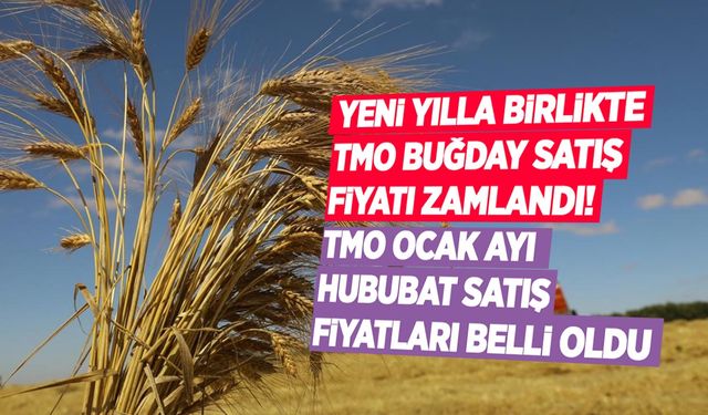 TMO, buğday satış fiyatlarını artırdı! Ocak ayı TMO hububat satış fiyatları belli oldu!