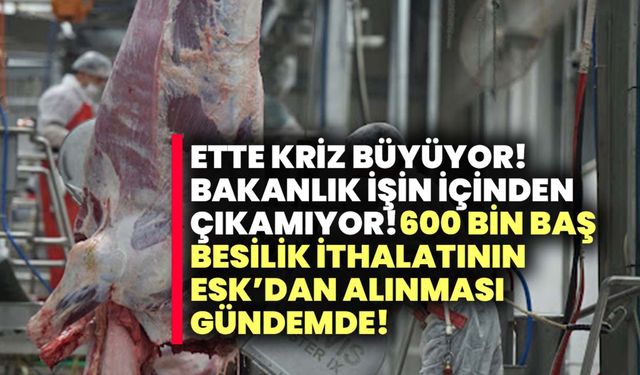 Et fiyatında sert yükseliş devam ediyor! Besilik ithalatındaki belirsizlik krizin fitilini ateşledi!