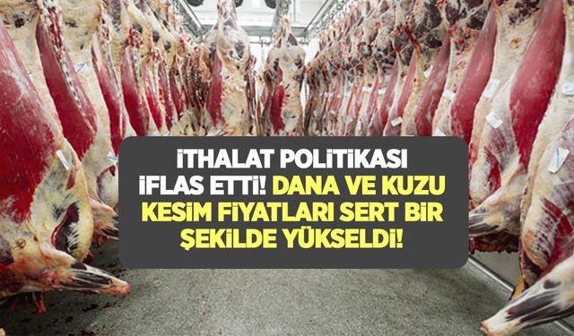 İthalat politikası iflas etti! Et fiyatları sert bir şekilde yükseldi! Dana kesim 17,4, kuzu kesim 19,7 lira arttı!