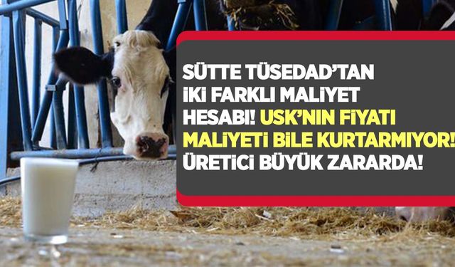 TÜSEDAD sütte iki farklı maliyet hesabı yaptı süt üreticisi büyük zararda!