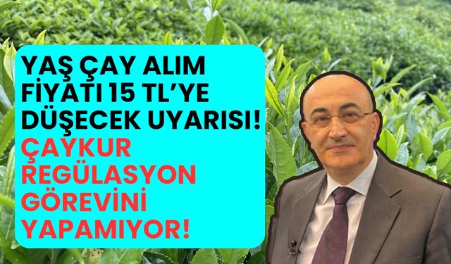 Yaş çay alım fiyatı 15 TL'ye düşecek uyarısı! ÇAYKUR regülasyon görevini yapamıyor!