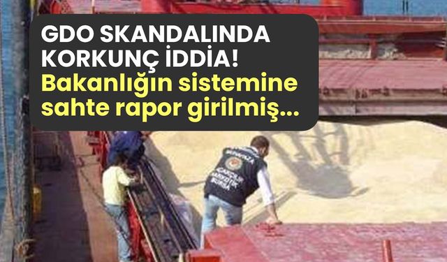 GDO’lu mısır skandalında detaylar belli oldu! Bakanlığın sistemine sahte rapor girilmiş!