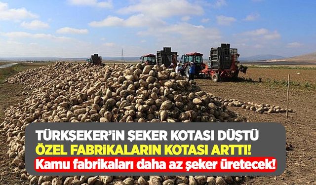 TÜRKŞEKER'in şeker kotası düştü! Kamu şeker fabrikaları daha az şeker üretecek!