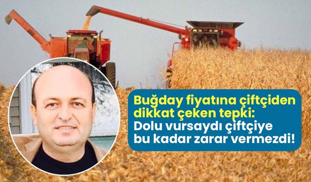 Buğday fiyatına çiftçiden dikkat çeken tepki: Ekinlerimize dolu vursaydı çiftçiye bu kadar zarar vermezdi!