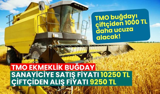 TMO sanayiciye 10250 TL'den sattığı buğdayı çiftçiden 9250 TL'den alacak!