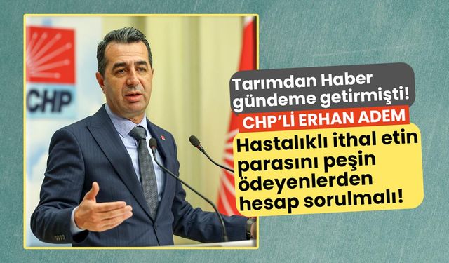 Tarımdan Haber gündeme getirmişti! CHP'li Adem hastalıklı ithal etin parasını peşin ödeyenlere hesap sorulmalı!