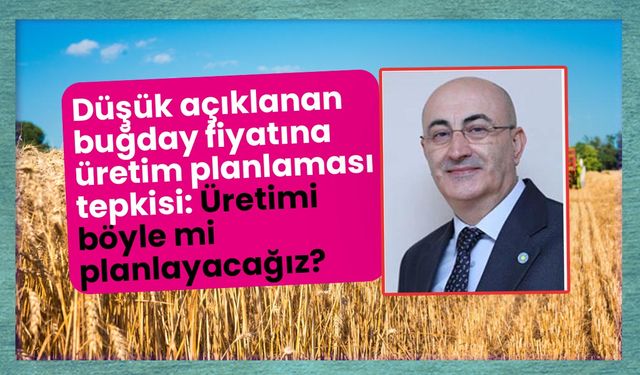 Düşük açıklanan buğday fiyatı ve tarımda üretim planlaması! Böyle mi üretimi planlayacağız?