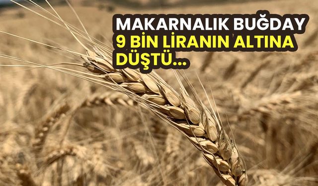 Ticaret Borsalarında son durum! 2 Temmuz'da hububat fiyatlarında sert düşüş