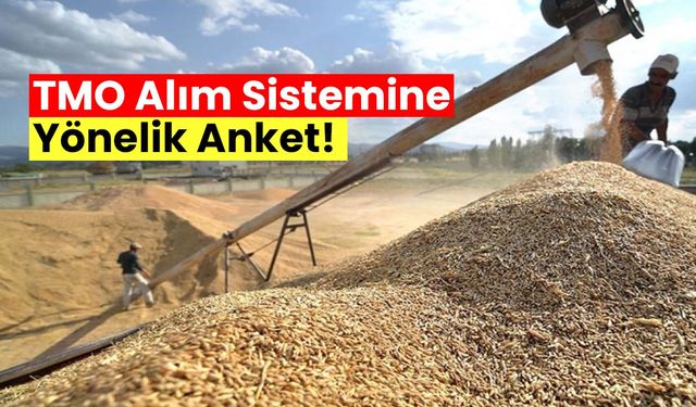 TMO alım sisteminden memnunum!