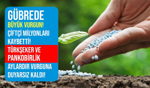 Gübrede büyük vurgun! Pancarda üretim düşecek çiftçinin kaybı milyonları bulacak!