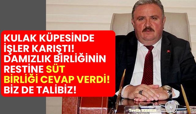 Kulak küpesinde işler karıştı! Damızlık Birliğinden sonra Süt Birliği de talip oldu!